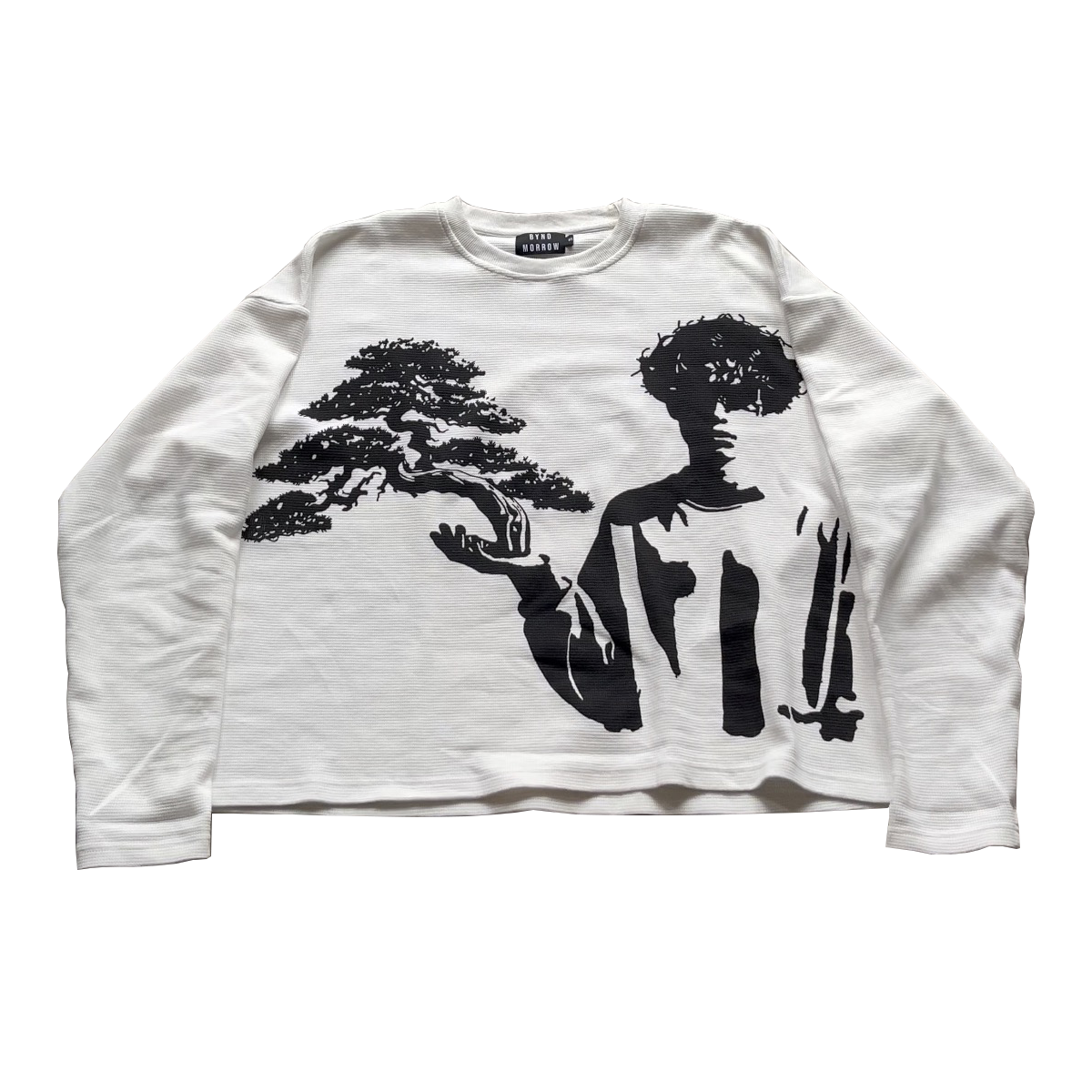 BYND MORROW THERMAL